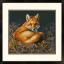 Sunlit Fox