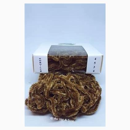 Chenille Soie Ovale 4534