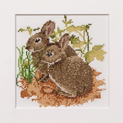 Bunnies