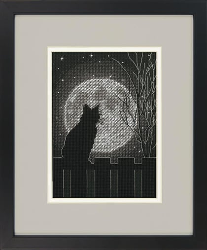 Black Moon Cat