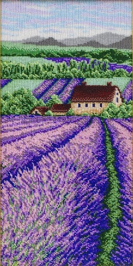 Lavender Field