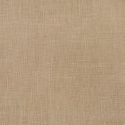 Mayflower Mocha (40ct)