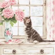 Sweet scent