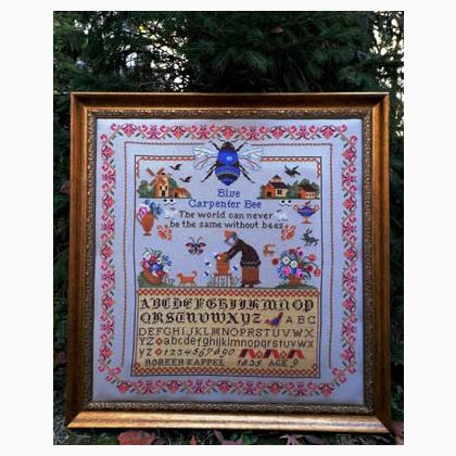 Blue Carpenter Bee Sampler