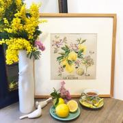 Etude Aux Citrons - Lino