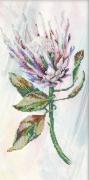 Protea