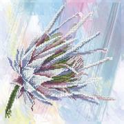Protea 2°