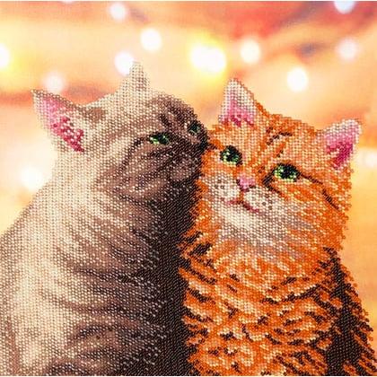 Fluffy Pair