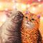 Fluffy Pair