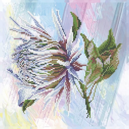 Protea 3°