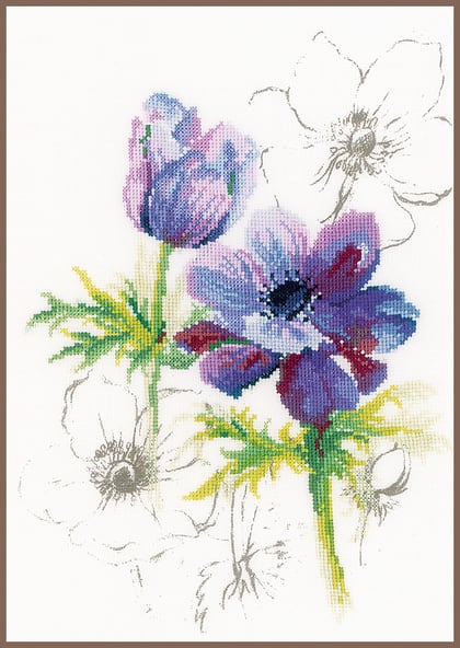 Anemoni blu