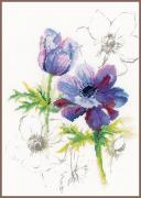 Anemoni blu