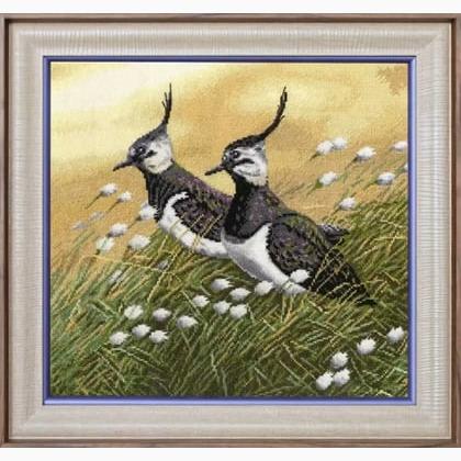 Lapwings (Jan Weenink)