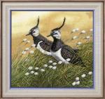 Lapwings (Jan Weenink)