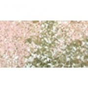Polvere per embossing - Zucchero filato