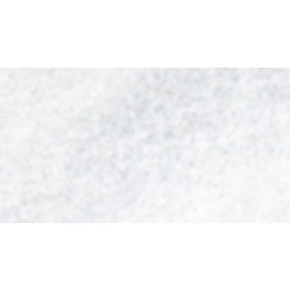 Polvere per embossing - Argento