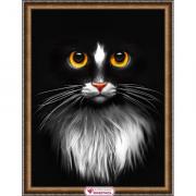 Black Cat