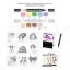 Kit Scoperta Spectrum Noir - Avventure a colori