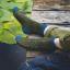 Tricoter ses chaussettes : toutes les techniques