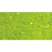 Polvere per embossing - Orpello Lime