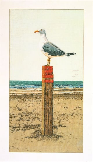 Seagull