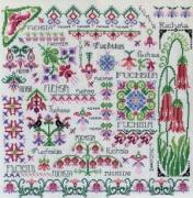 Dreaming Of Fuchsia