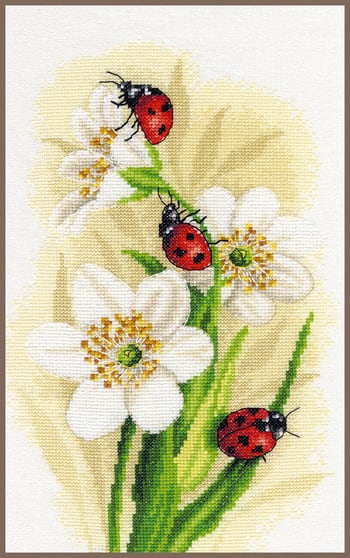 Sfilata di coccinelle