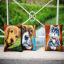 Cuscino: Gatto con collare