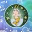 Segni zodiacali - Capricorno