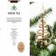 The Eco-Christmas Craft Book