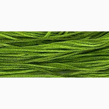 WDW 2204A Paris Green