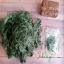 Filo in seta - Pine