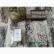 Filo in seta - Pumpkin seed