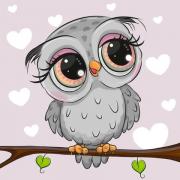 Little Owl