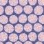 Limpet Shell Blue