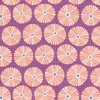 Limpet Shell Lilac