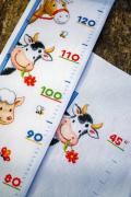 Metro per bambini - Fattoria degli Animali