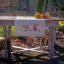 Runner - Conigli di Pasqua in un giardino di tulipani