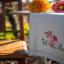 Runner - Conigli di Pasqua in un giardino di tulipani