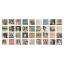 Idea-Ology Tessere Collage