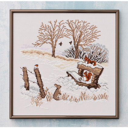 Scoiattolo d\'inverno