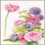 Floral cotton candy - Aida