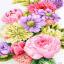 Floral cotton candy - Aida