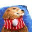 Cuscino: Cane con sciarpa