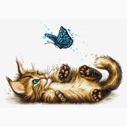 Playful Kitten