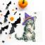 The Witch's Cat