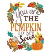 Pumpkin to my Spice