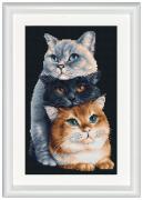 Three Cats - Nero