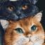Three Cats - Nero