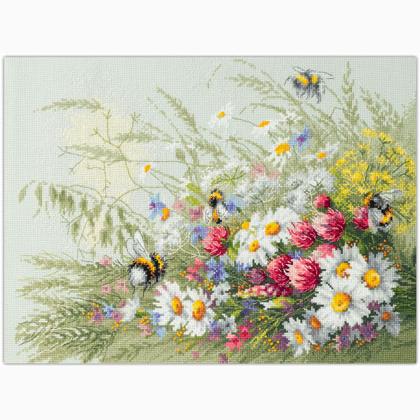 Daisies and Clover